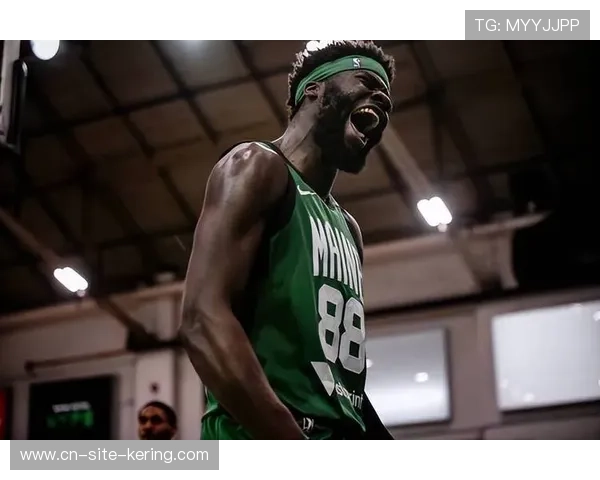 武切维奇二月篮板数据联盟第一，凯尔特人内线支柱